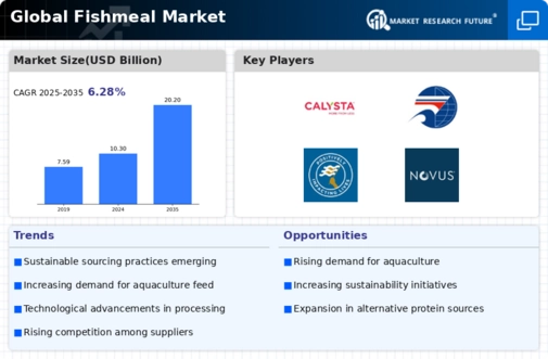 Fishmeal Market Infographic