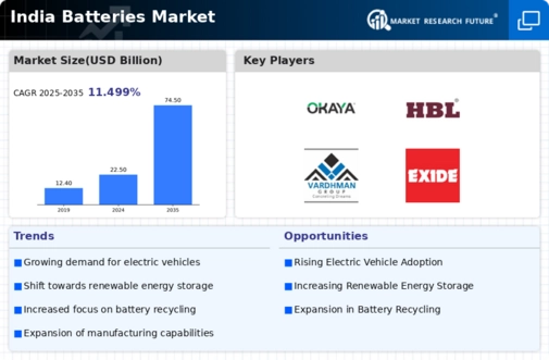 India Batteries Market Infographic
