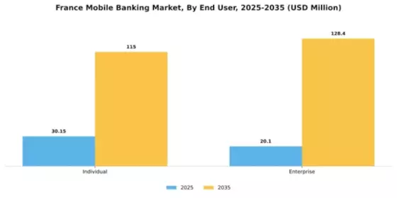 France Mobile Banking Market Segment Image 1