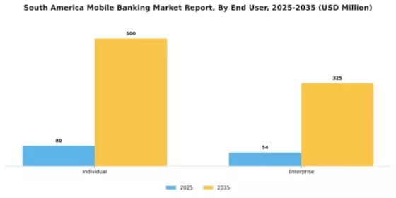 South America Mobile Banking Market Segment Image 1