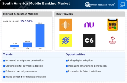 South America Mobile Banking Market Infographic