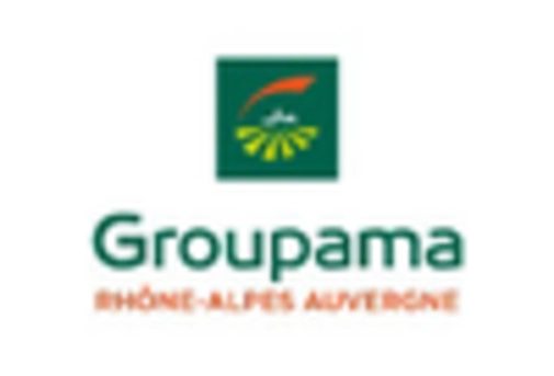 France Motorcycle Insurance Market key player