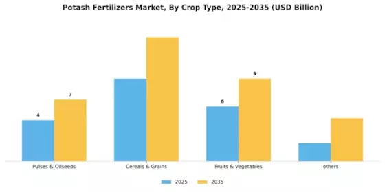 Potash Fertilizers Market Segment Image 3