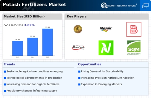 Potash Fertilizers Market Infographic