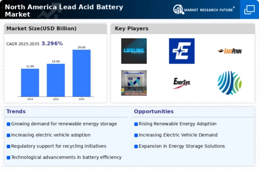 North America Lead Acid Battery Market Infographic