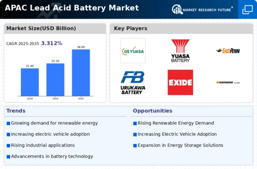 APAC Lead Acid Battery Market Infographic