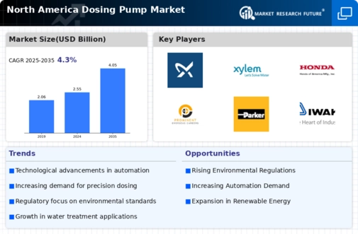 North America Dosing Pump Market Infographic