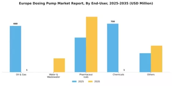 Europe Dosing Pump Market Segment Image 1