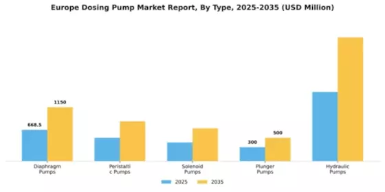 Europe Dosing Pump Market Segment Image 2