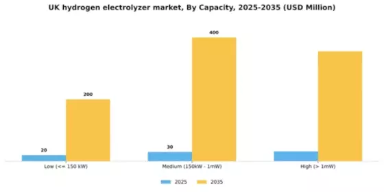 UK Hydrogen Electrolyzer Market Segment Image 0
