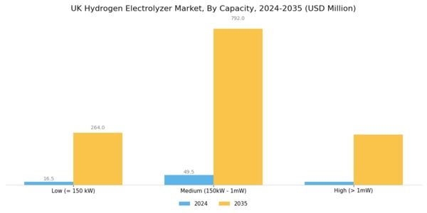 UK Hydrogen Electrolyzer Market Segment Image 1