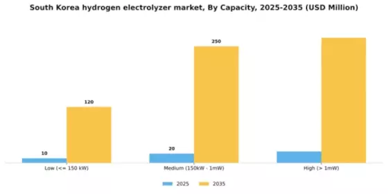 South Korea Hydrogen Electrolyzer Market Segment Image 0
