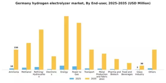 Germany Hydrogen Electrolyzer Market Segment Image 1