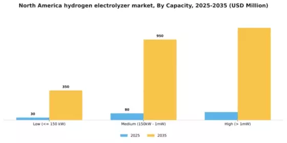 North America Hydrogen Electrolyzer Market Segment Image 0