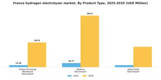 France Hydrogen Electrolyzer Market Segment Image 3