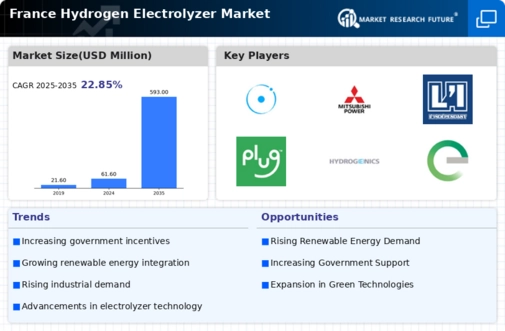France Hydrogen Electrolyzer Market Infographic