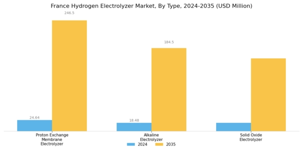 France Hydrogen Electrolyzer Market Segment Image 0