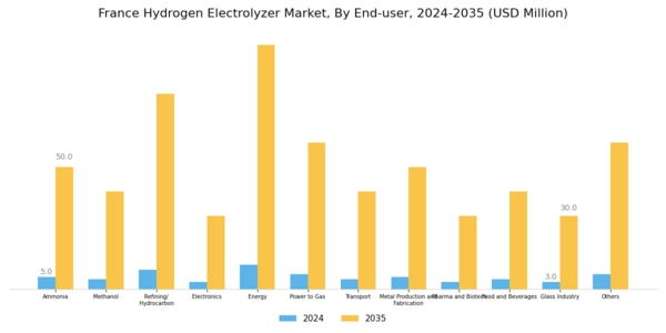 France Hydrogen Electrolyzer Market Segment Image 3