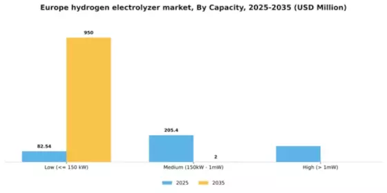 Europe Hydrogen Electrolyzer Market Segment Image 0