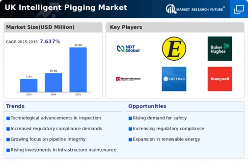 UK Intelligent Pigging Market Infographic