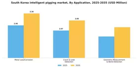 South Korea Intelligent Pigging Market Segment Image 0