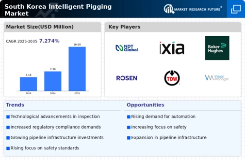 South Korea Intelligent Pigging Market Infographic