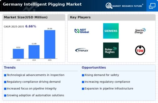 Germany Intelligent Pigging Market Infographic