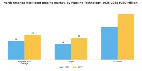 North America Intelligent Pigging Market Segment Image 1