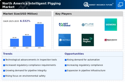 North America Intelligent Pigging Market Infographic