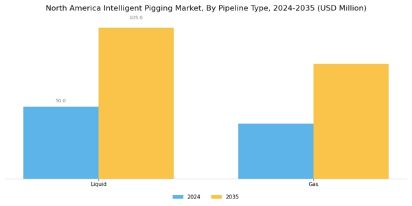 North America Intelligent Pigging Market Segment Image 0