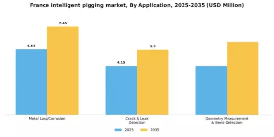 France Intelligent Pigging Market Segment Image 0