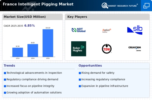 France Intelligent Pigging Market Infographic