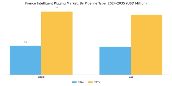France Intelligent Pigging Market Segment Image 0