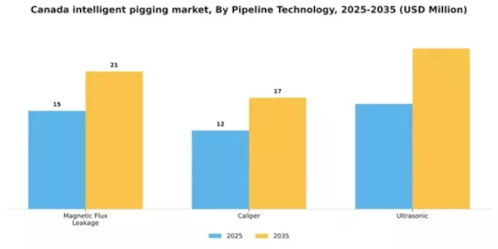 Canada Intelligent Pigging Market Segment Image 1