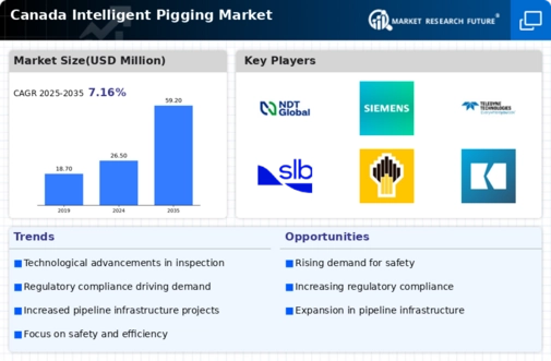 Canada Intelligent Pigging Market Infographic