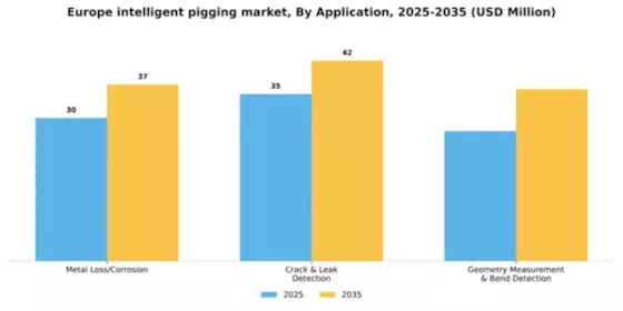 Europe Intelligent Pigging Market Segment Image 0