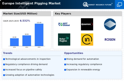 Europe Intelligent Pigging Market Infographic