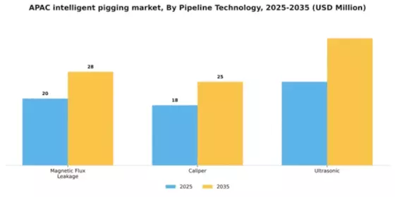 APAC Intelligent Pigging Market Segment Image 1