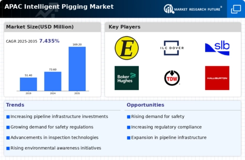 APAC Intelligent Pigging Market Infographic