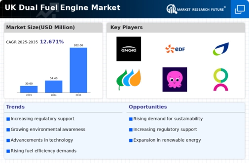 UK Dual Fuel Engine Market Infographic