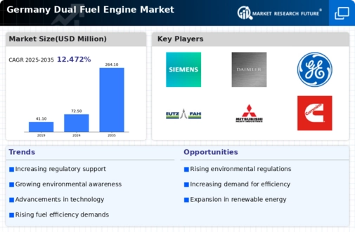 Germany Dual Fuel Engine Market Infographic