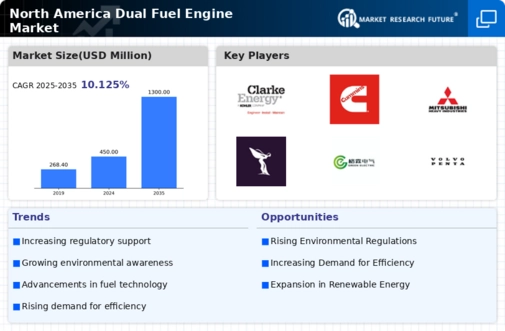 North America Dual Fuel Engine Market Infographic