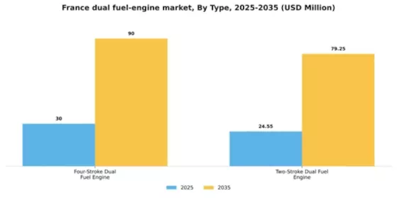 France Dual Fuel Engine Market Segment Image 1