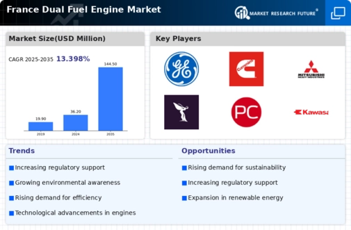 France Dual Fuel Engine Market Infographic