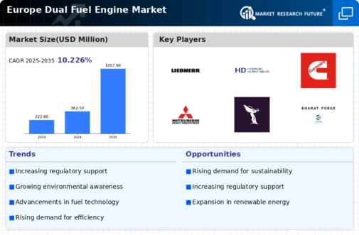Europe Dual Fuel Engine Market Infographic