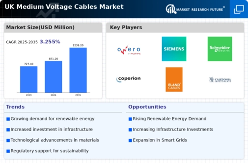 UK Medium Voltage Cables Market Infographic
