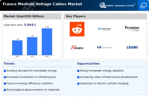 France Medium Voltage Cables Market Infographic