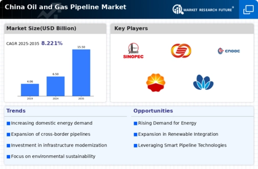 China Oil Gas Pipeline Market Infographic
