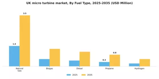 UK Micro Turbine Market Segment Image 2