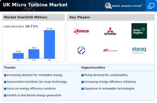 UK Micro Turbine Market Infographic